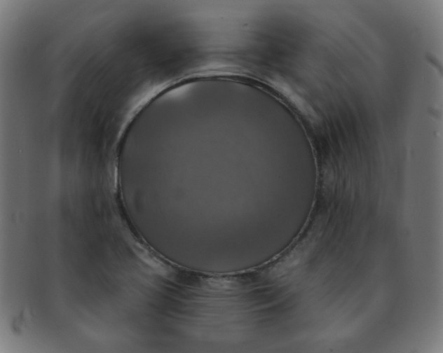 X0000091351413200708241236