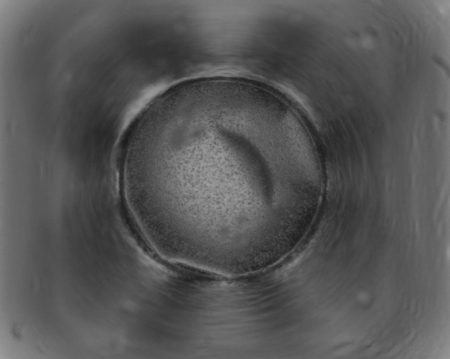 X0000091351414200708241236