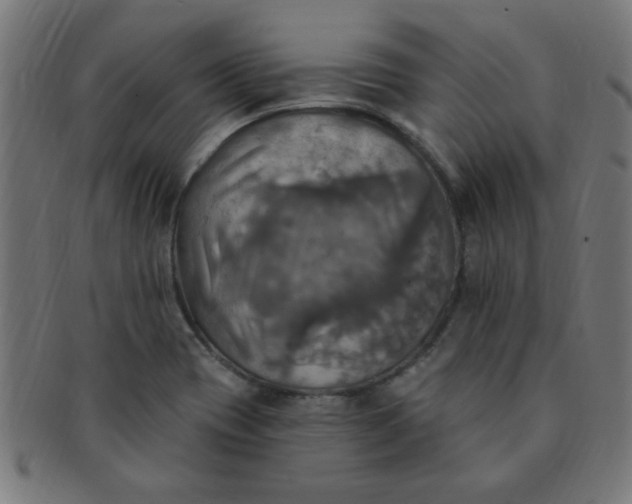 X0000091351417200708241236
