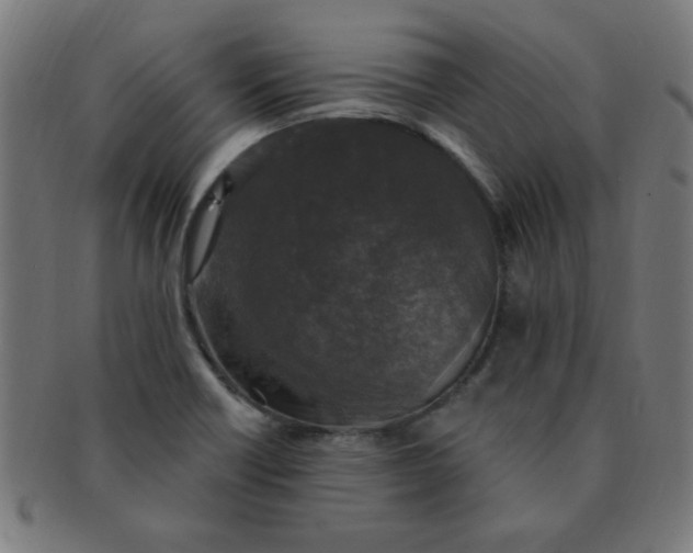 X0000091351418200708241236