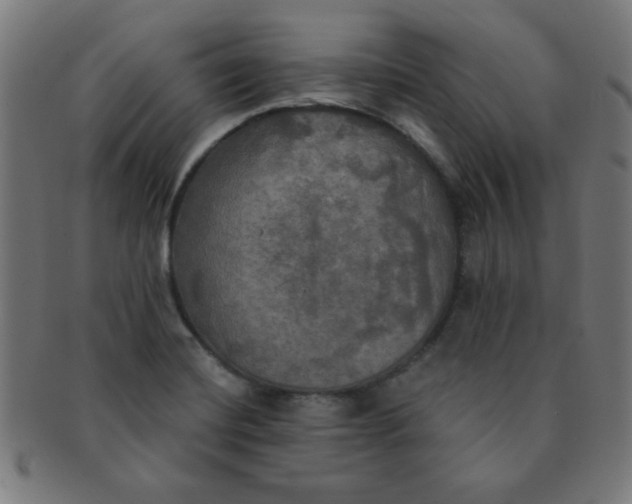 X0000091351420200708241236