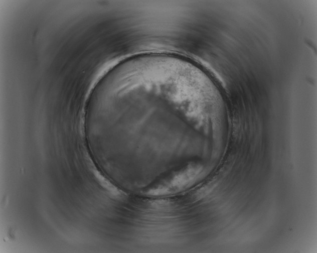 X0000091351421200708241236