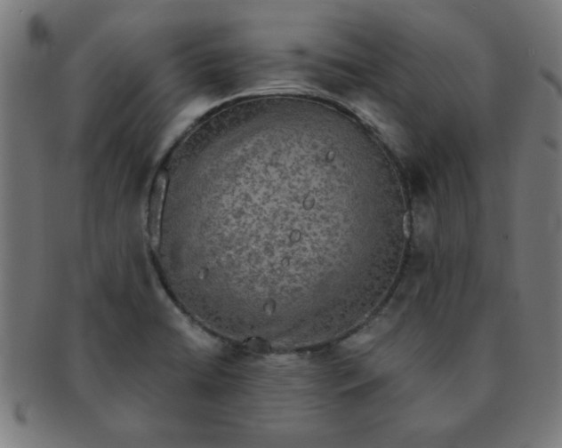 X0000091351422200708241236