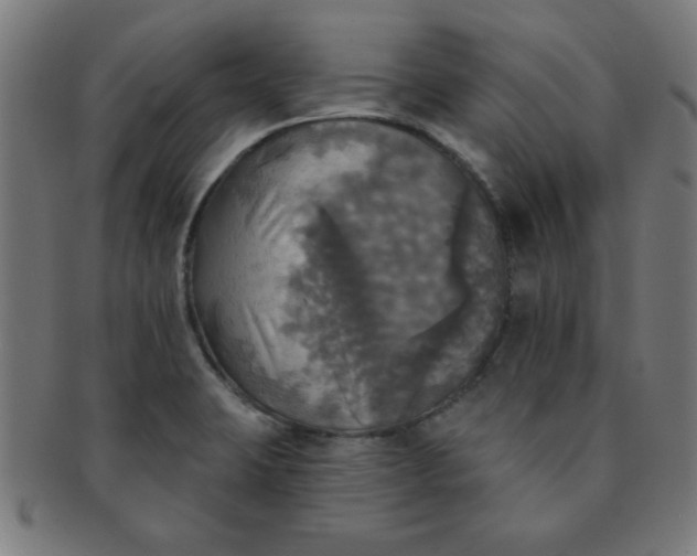 X0000091351423200708241236