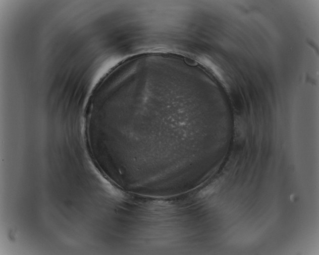 X0000091351424200708241236