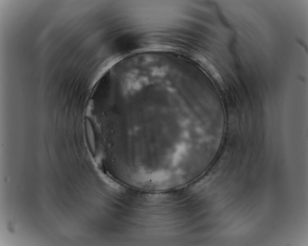 X0000091351425200708241236