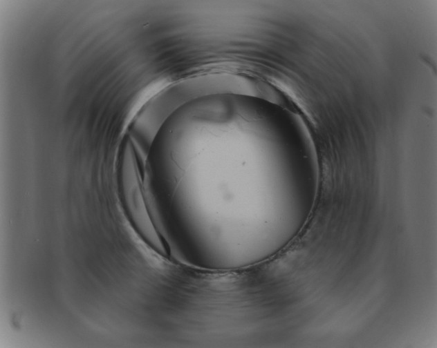 X0000091351426200708241236