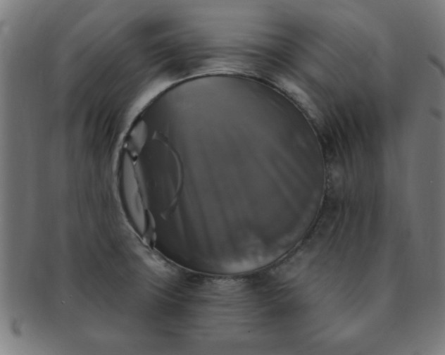 X0000091351427200708241236