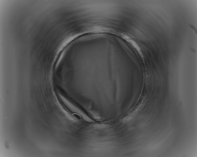 X0000091351429200708241236