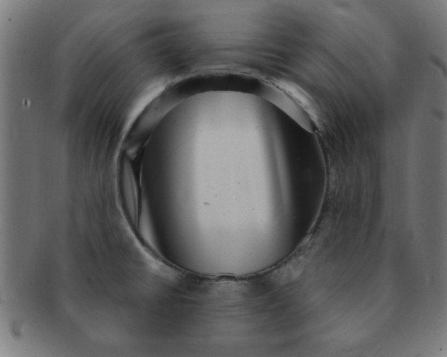 X0000091351430200708241236