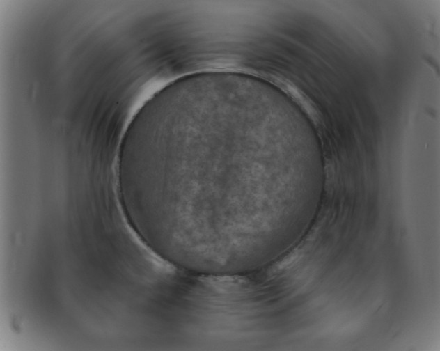 X0000091351432200708241236