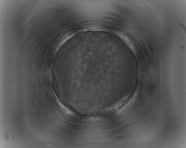 X0000091351433200708241236