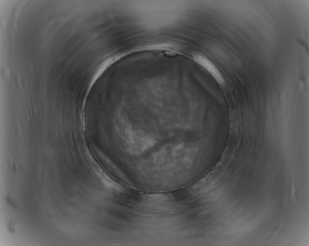 X0000091351436200708241236