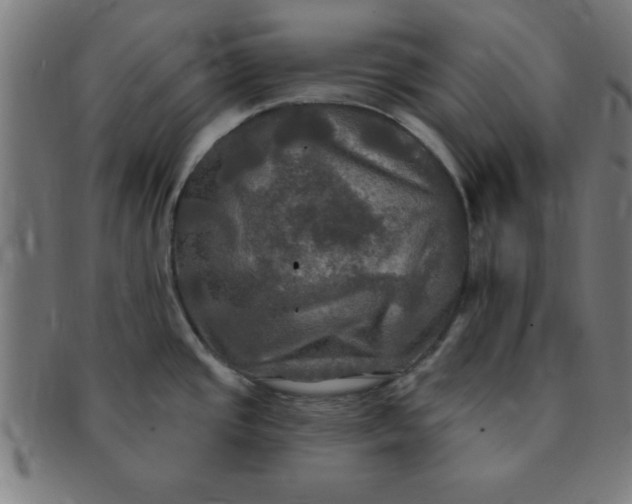 X0000091351437200708241236