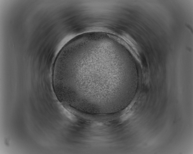 X0000091351438200708241236