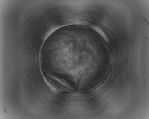 X0000091351439200708241236