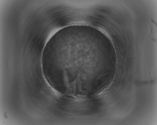 X0000091351440200708241236
