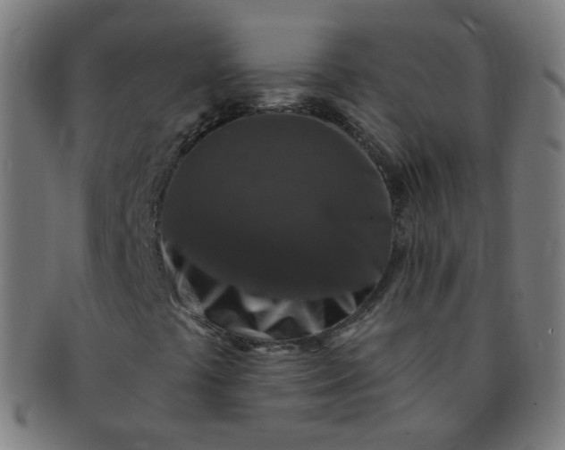 X0000091351441200708241235