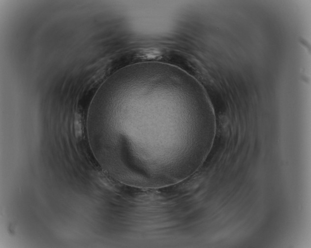X0000091351442200708241235