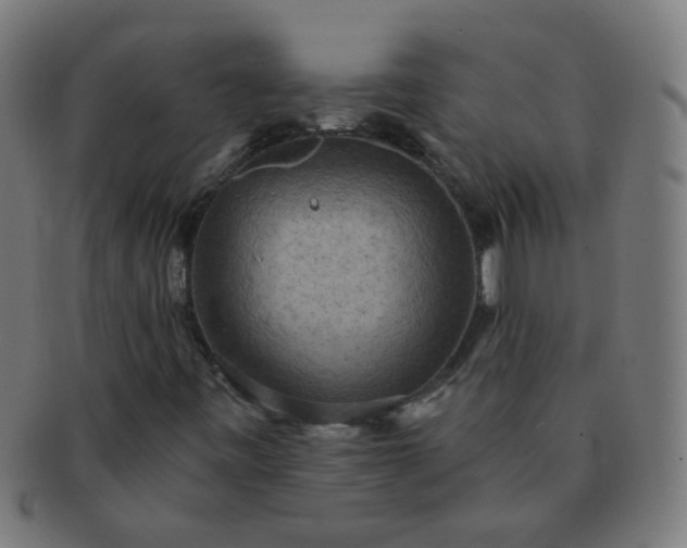 X0000091351443200708241235