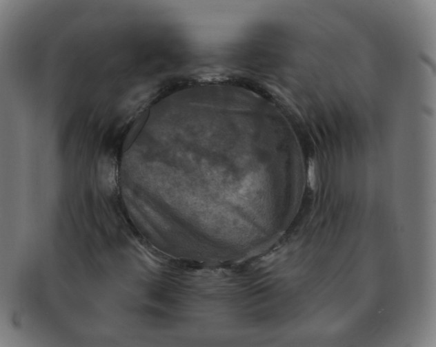 X0000091351444200708241235