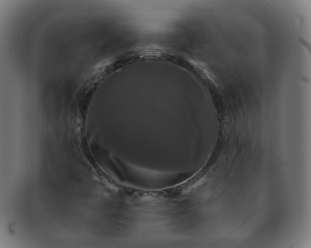 X0000091351445200708241235
