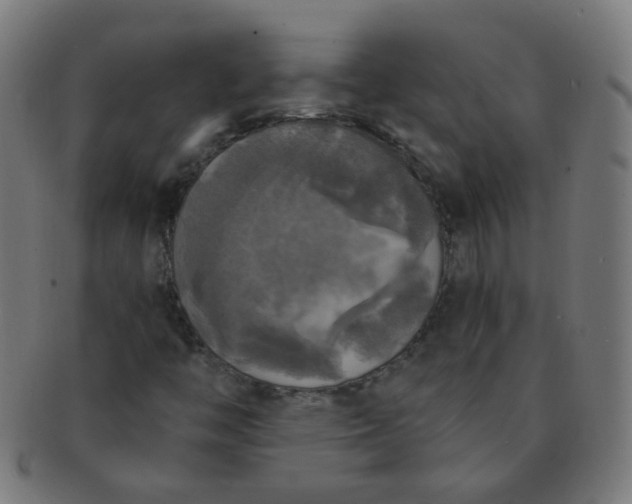 X0000091351446200708241235