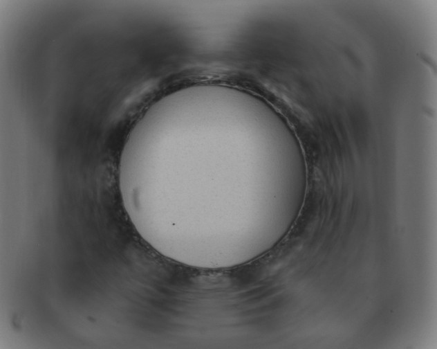 X0000091351447200708241235