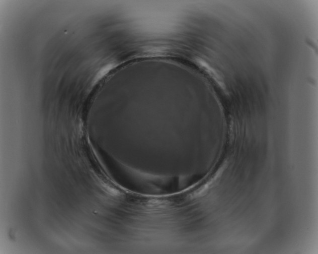 X0000091351449200708241235