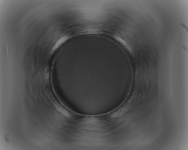 X0000091351450200708241235