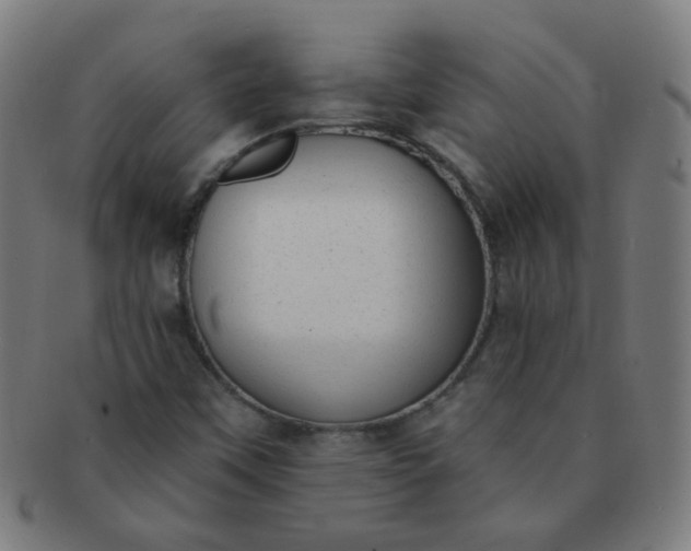 X0000091351451200708241235