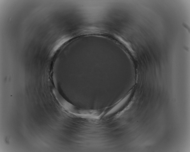 X0000091351453200708241235
