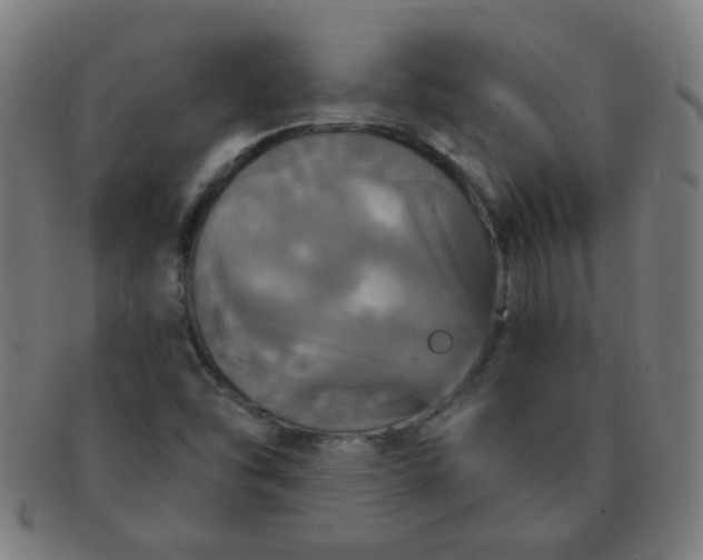 X0000091351454200708241235