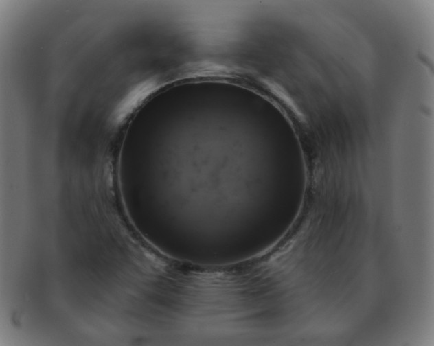 X0000091351455200708241235