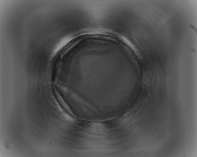 X0000091351456200708241235