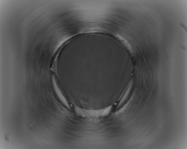 X0000091351457200708241235