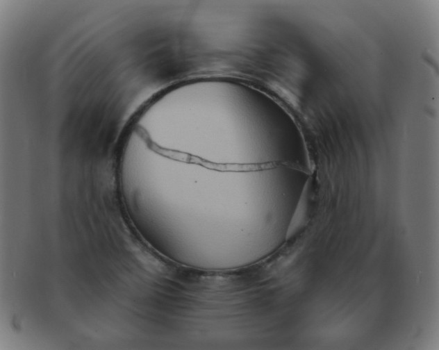 X0000091351458200708241235