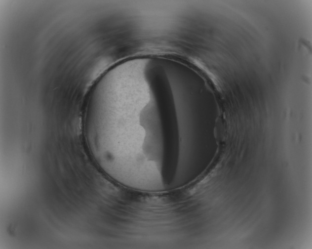 X0000091351459200708241235