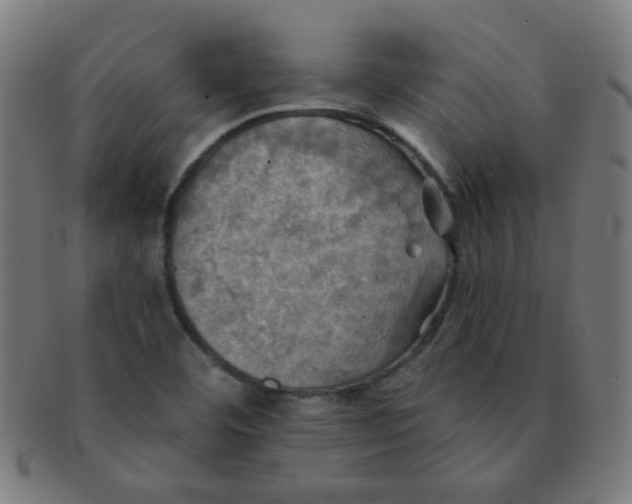 X0000091351460200708241235