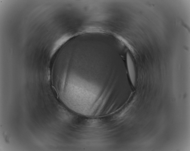 X0000091351461200708241235