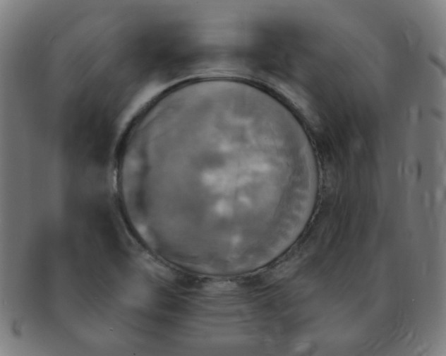 X0000091351462200708241235