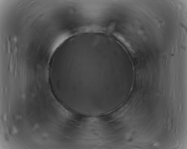 X0000091351463200708241235