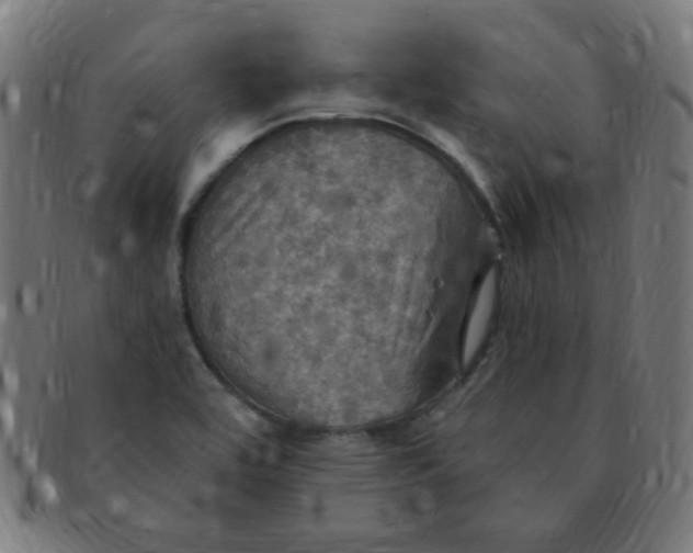 X0000091351464200708241235