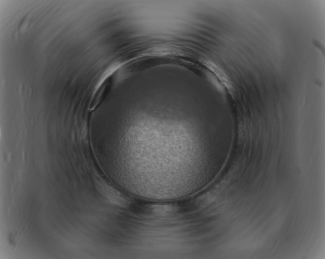 X0000091351465200708241235