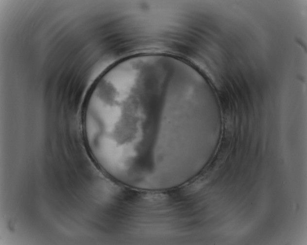 X0000091351466200708241235