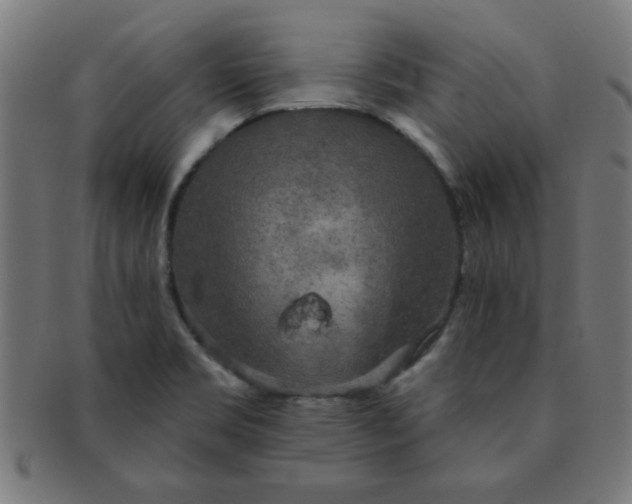 X0000091351469200708241235