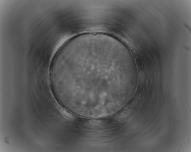 X0000091351470200708241235