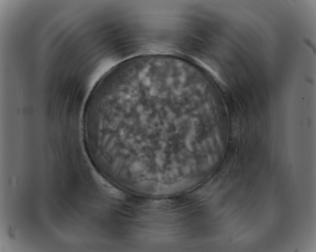 X0000091351471200708241235