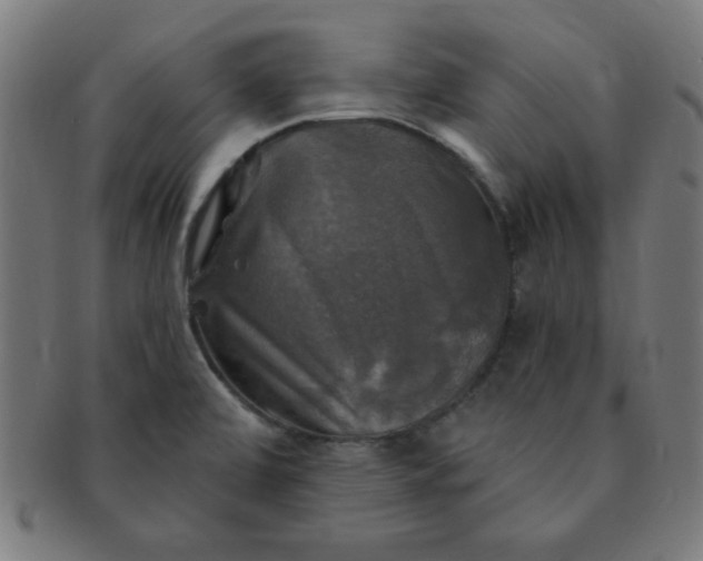 X0000091351472200708241235