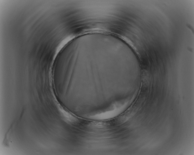 X0000091351474200708241235